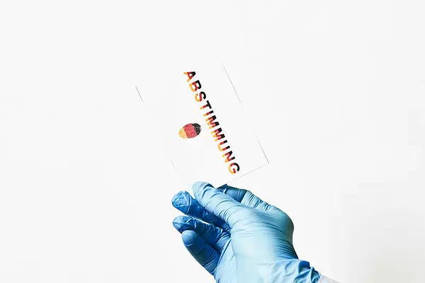 Wählen in Corona-Zeit: Hand mit Einweghandschuh und Zettel "Abstimmung" mit Fingerabdruck