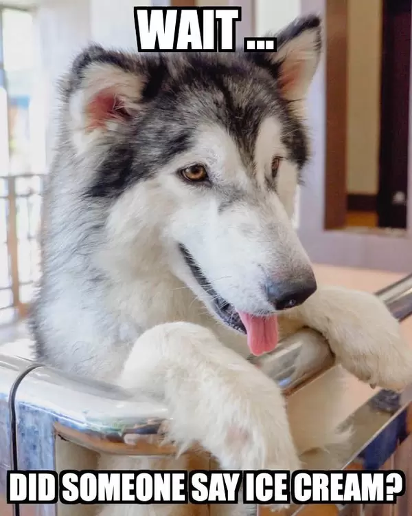 Wait ... did you say ice cream?