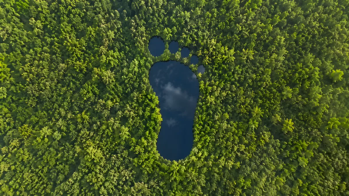 Waldsee in Fußabdruck-Form aus der Vogelperspektive — Bild kostenlos herunterladen