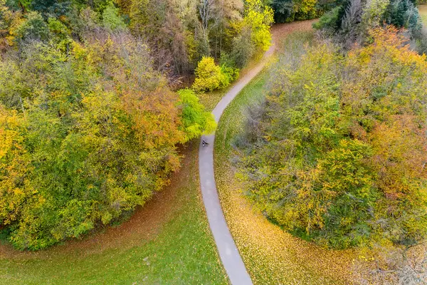 Waldspaziergang mit Hund im Herbst: farbenfrohes Herbstlaub liegt auf der grünen Parkfläche im Forstbotanischen Garten und Friedenswald Köln