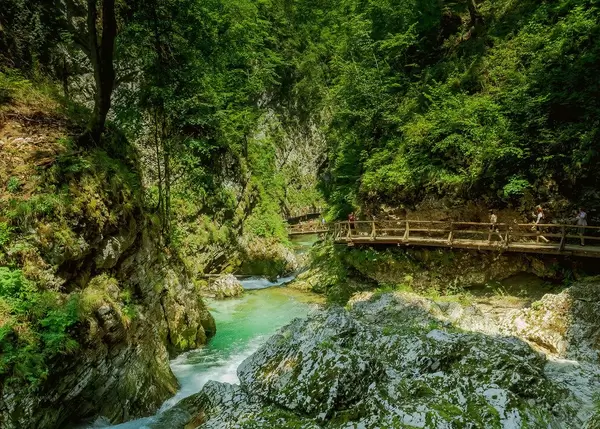 Walking in Vintgar Gorge