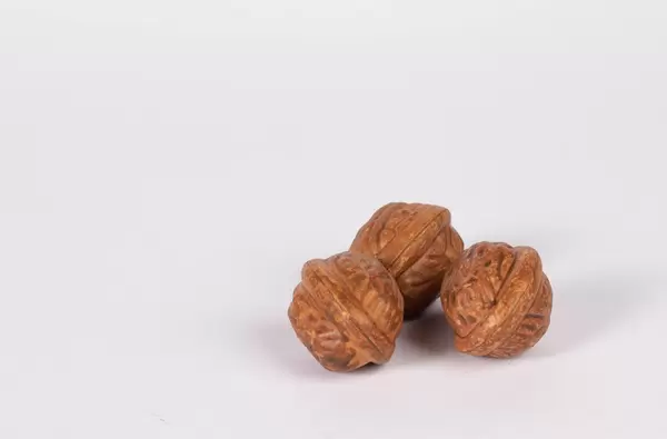 Walnuts isolated on a white background