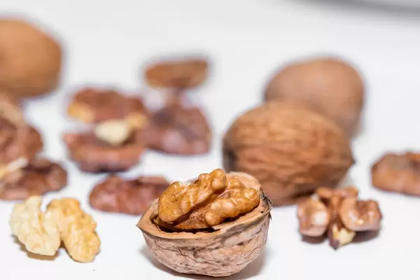 Walnuts kernels  Flip 2019