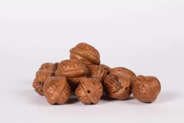 Walnuts on a white background