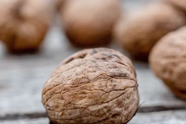 Walnuts on the boards