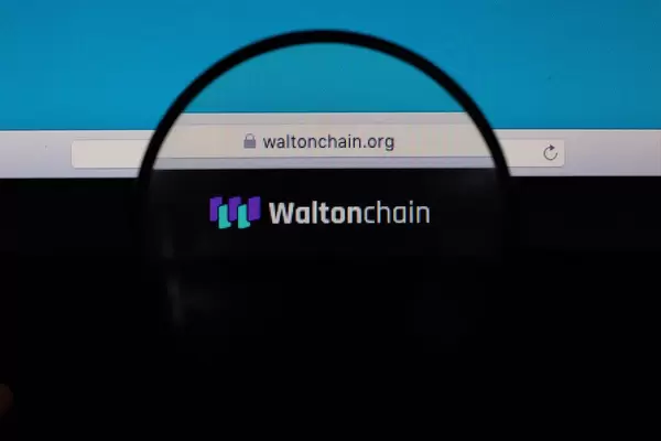 Waltonchain website under magnifying glass