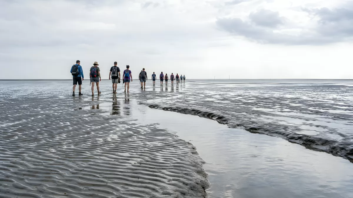 Wandergruppe auf dem Wattenmeer bei Ebbe