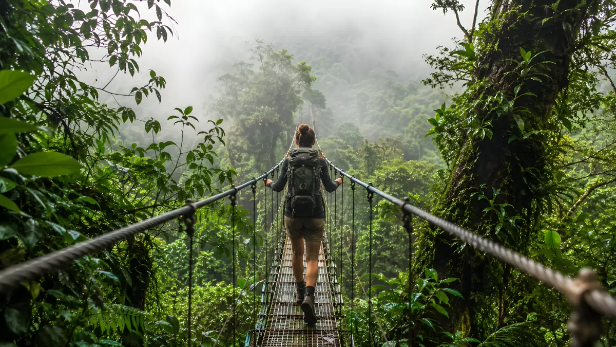 Wanderin auf Hängebrücke im Nebelwald Costa Rica
