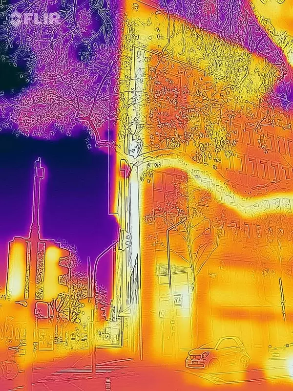 Wärmebild eines Baums und eines Gebäudes im Hintergrund - FLIR Infrarotkamera / iPhone
