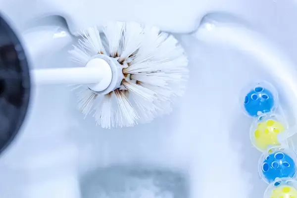 Washing the toilet with a toilet brush