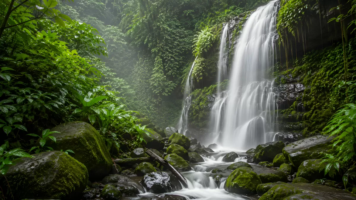 Wasserfall im tropischen Regenwald mit Moos und Farn