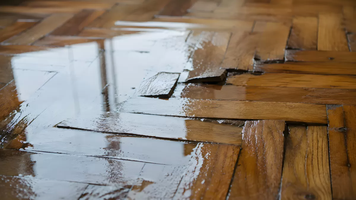Wasserschaden auf Parkettboden mit Verformungen