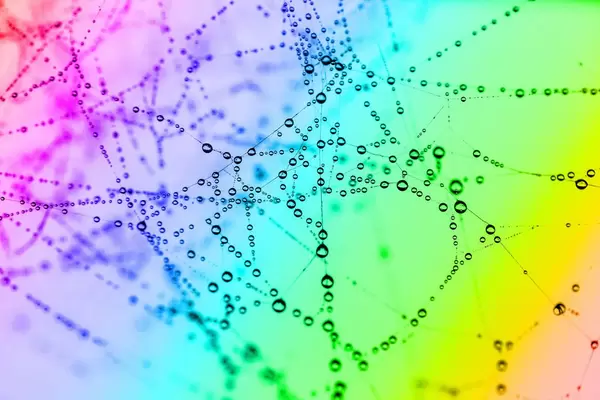 Wassertropfen kleben an einem Spinnennetz - Hintergrund in Regenbogenfarben