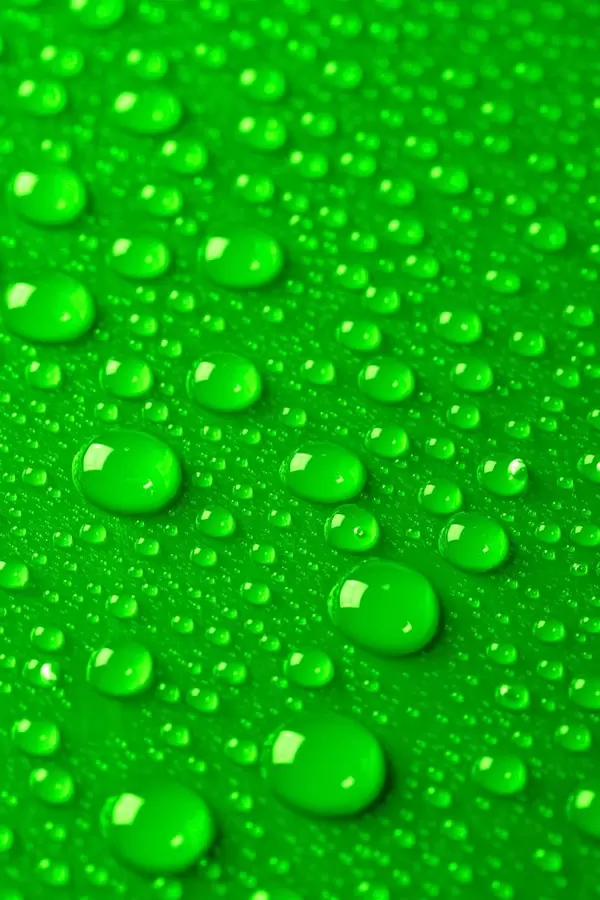 Water drops on green background