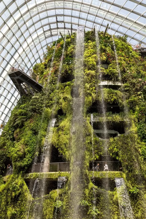 Waterfall in Cloud Forest