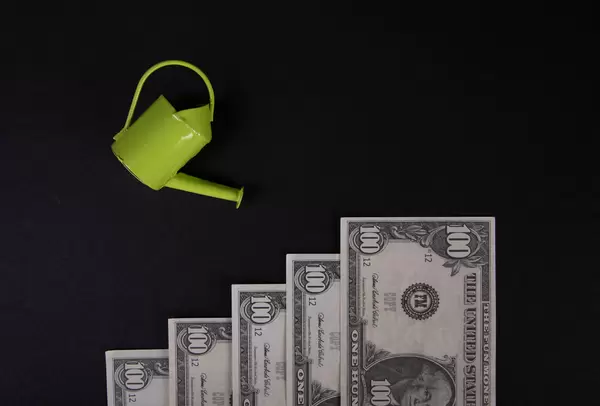 Watering can and dollar banknotes on black background