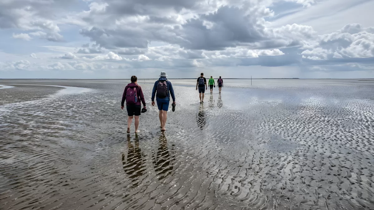 Wattwanderung bei Ebbe im Wattenmeer