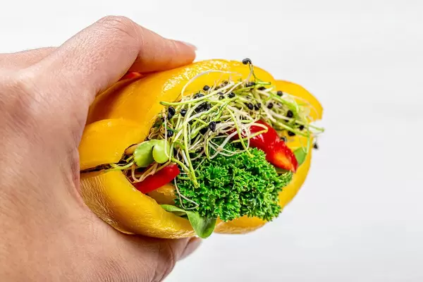 Weiblicher Hand hält ein veganes Sandwich aus verschiedenem Gemüse und Keimen