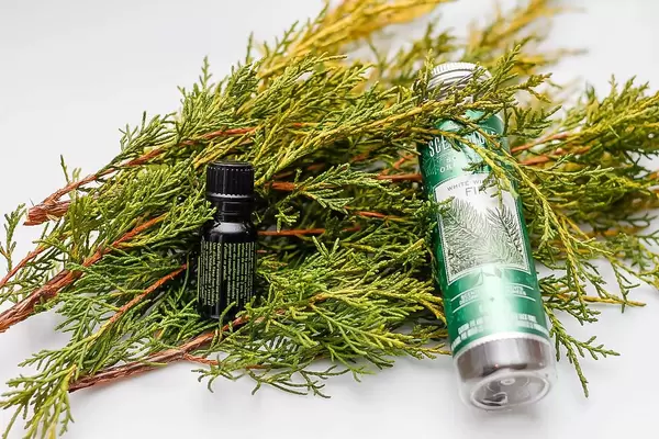 Weihnachtlicher Kieferduft im Ölfläschchen