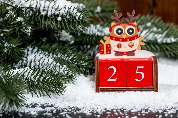 Weihnachts Konzept - Erster Weihnachtsfeiertag - Eule auf Nummer 25