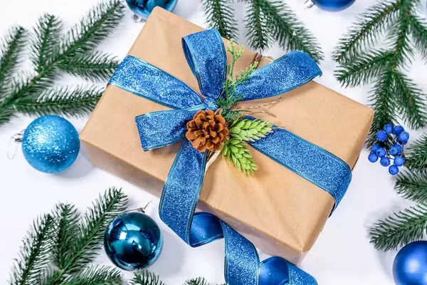 Weihnachtsgeschenk in Naturpapier mit blauem Band und Tannenzapfen