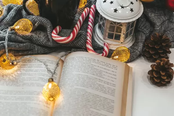 Weihnachtsmärchen-Konzept offenes Buch mit Zuckerstangen und Tannenzapfen