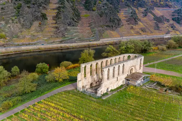 Weinbau Gebiet um die Sehenswürdigkeit Kloster Stuben an der Mosel mit Randhöhenzug Calmont im Hintergrund nähe der Ortsgemeinde Bremm, Deutschland