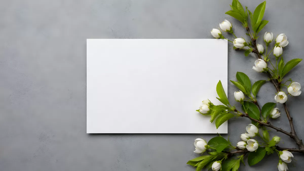 Weiße Blütenzweige neben leerem Papier auf Grau