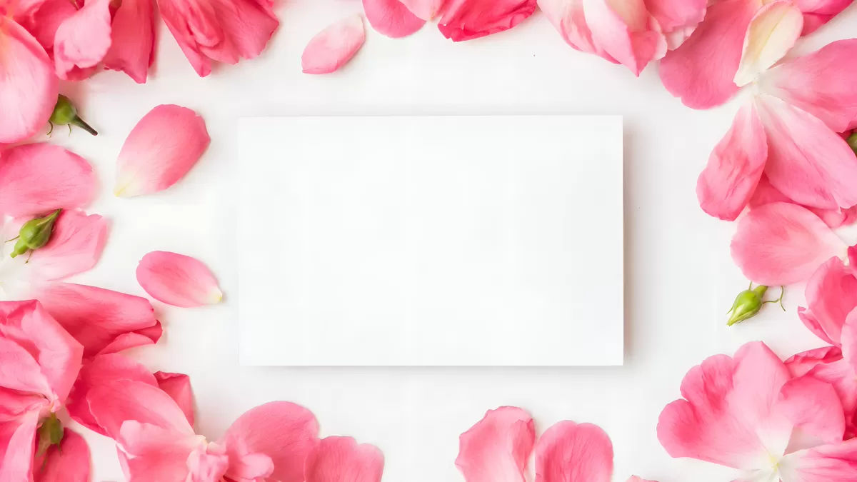 Weiße Karte umrahmt von rosa Rosenblüten