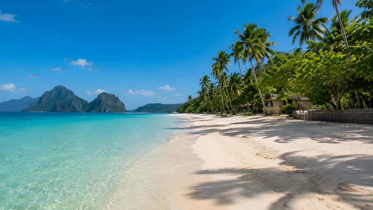 Weißer Sandstrand mit Palmen und türkisblauem Meer