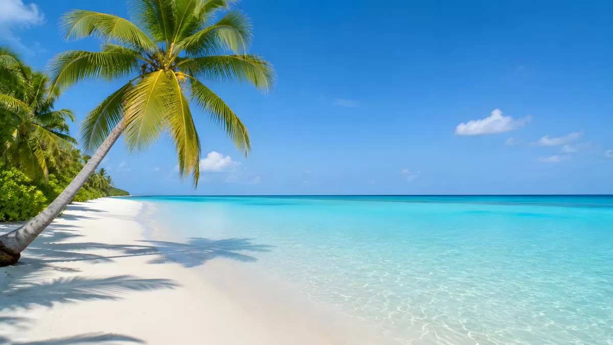 Weißer Sandstrand mit Palmen und türkisem Meer