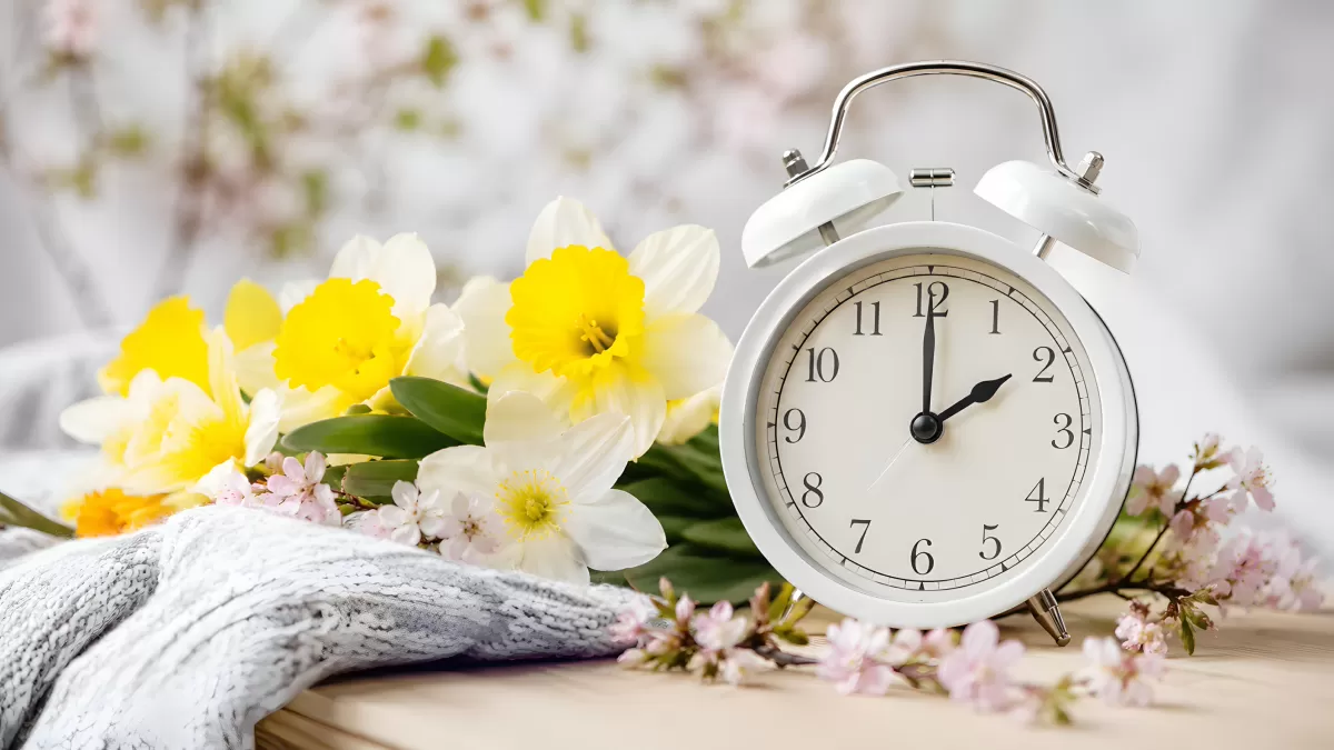 Weißer Wecker mit Frühlingsblumen und Narzissen