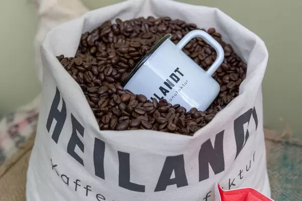 Weiße Kaffeetasse liegt in Sack voller gerösteter Kaffeebohnen