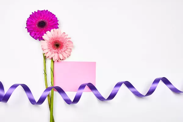 Weißer Hintergrund mit rosa Blumen, lila Schleife und rosa Karte: Platz für eine romantische Nachricht