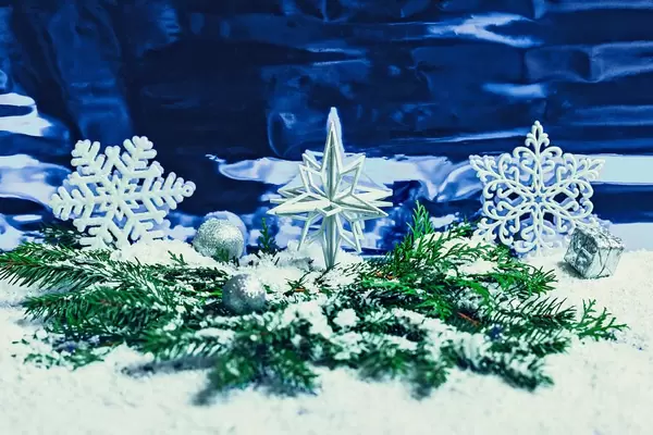 Weißer Weihnachts-Stern zwischen Tannenzweigen und Schneeflocken auf blauem Hintergrund