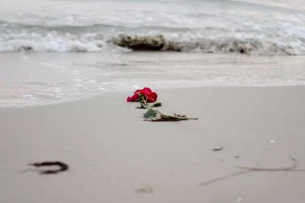 Wellen spülen eine rote Rose vom Strand fort