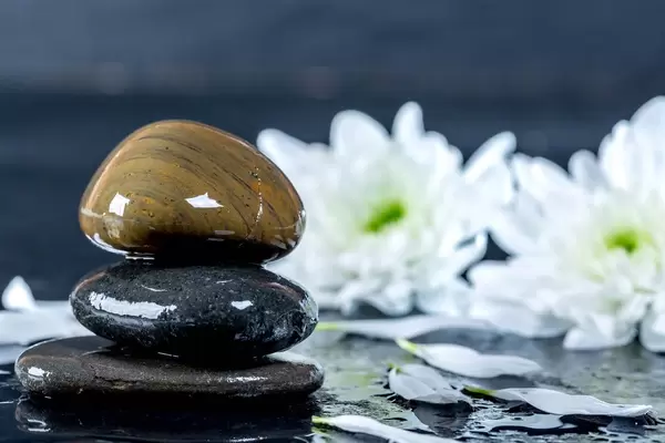 Wet dark stones with chrysanthemum flowers
