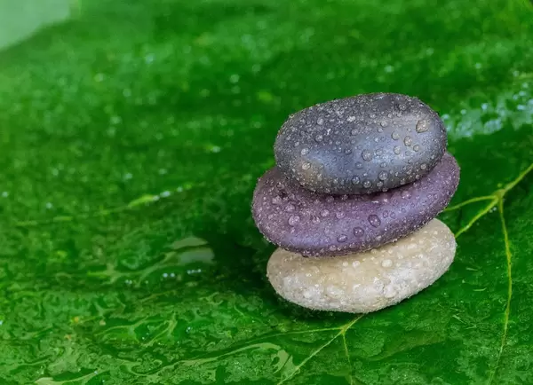 Wet stones on the green leaves