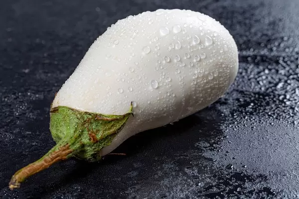 Wet white eggplant on black background (Flip 2019)