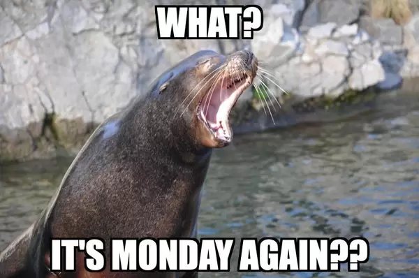 What? It's Monday Again??