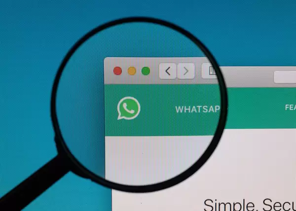 WhatsApp logo under magnifying glass