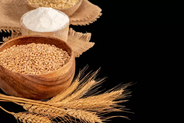 Wheat, barley, flour and spikelets on black background, baking ingredients concept