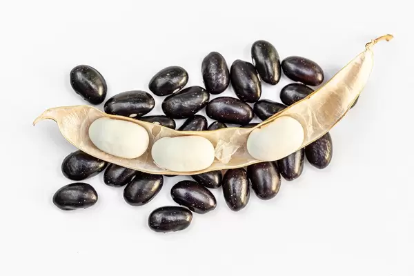 White beans with black beans on white background