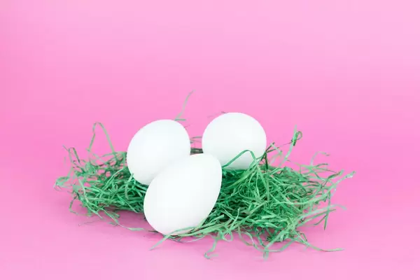 White chicken eggs on grass