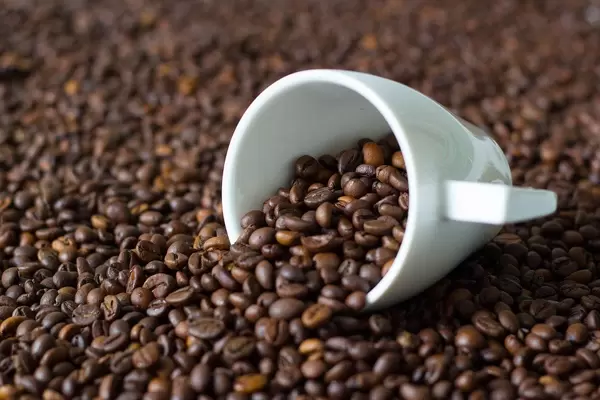 White cup in a sea of raw coffee beans