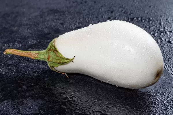 White eggplant with water drops closeup (Flip 2019)