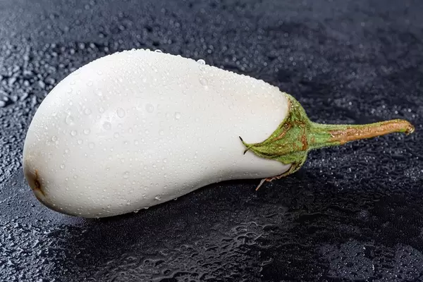 White eggplant with water drops closeup