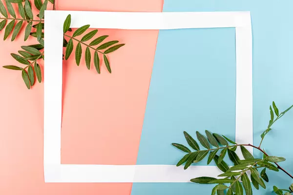 White frame on pink-blue background with green leaves