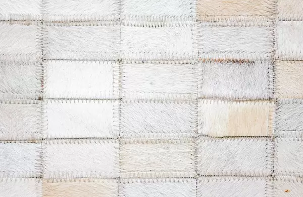 White short Fur Background