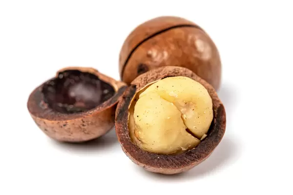 Whole and broken macadamia nut on white